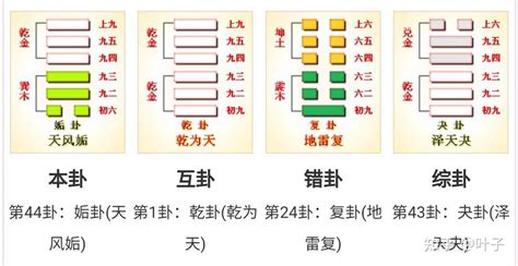 巽乾卦|第四十四卦 天风姤 乾上巽下